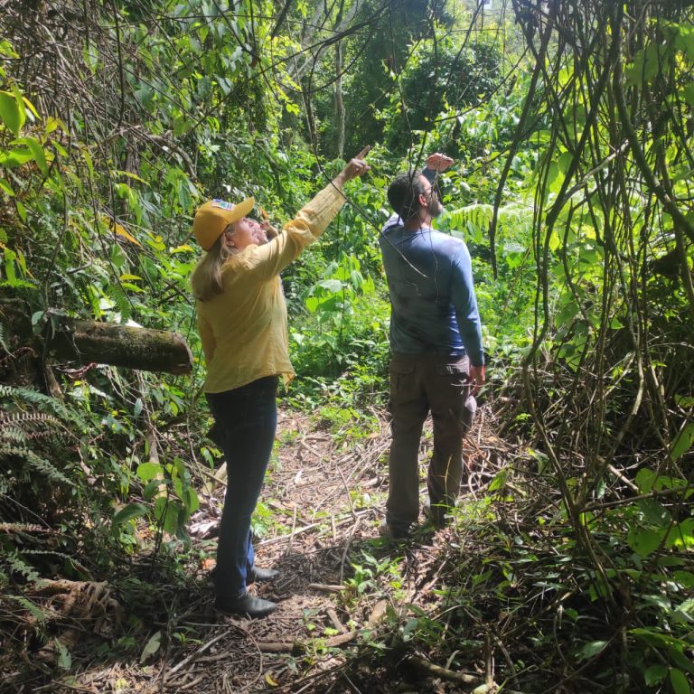 Comisión de Ambiente realizó recorrido en el Parque Ecológico de la urbanización Parque El Retiro
