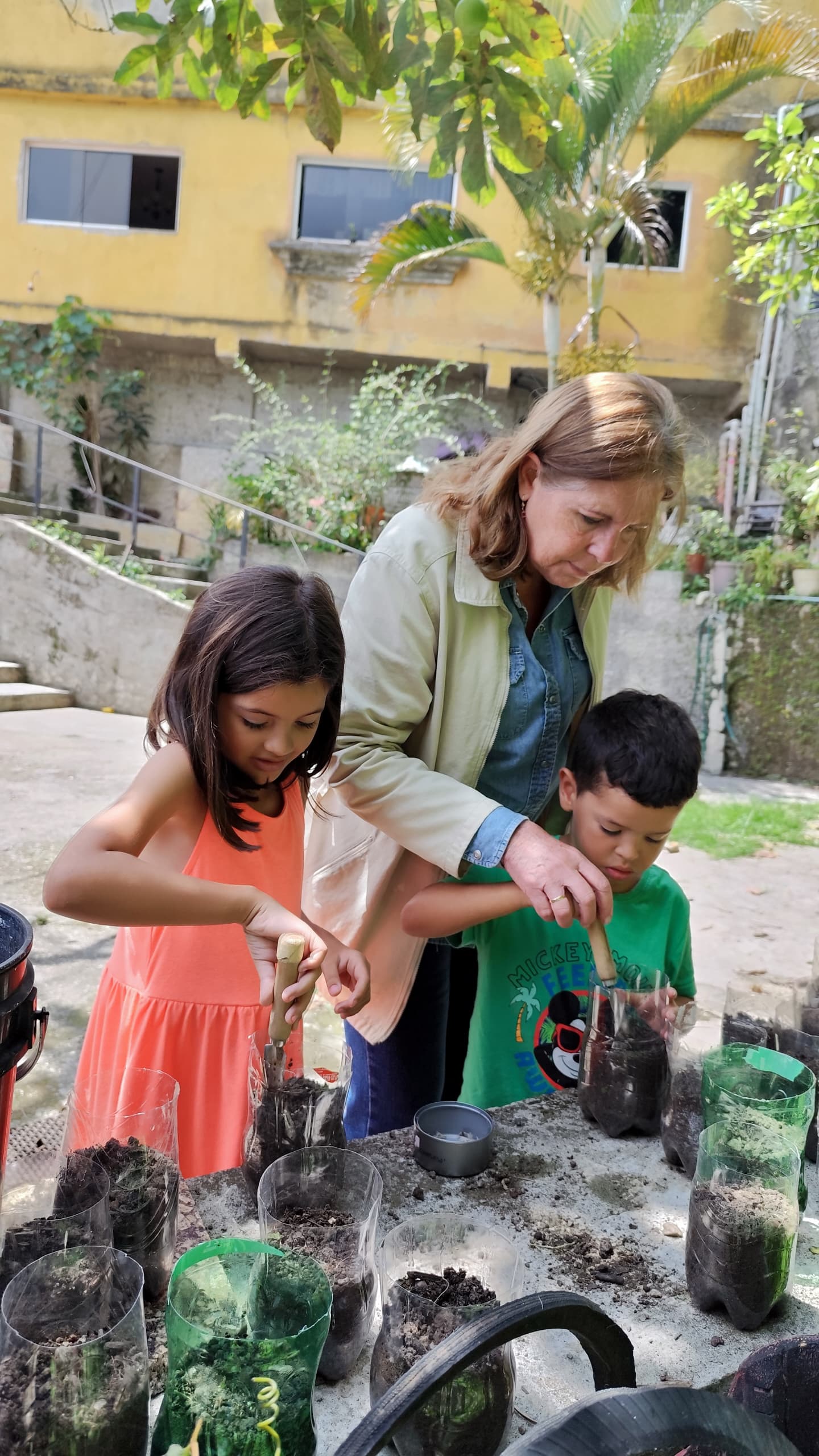 Comisión de Ambiente del Concejo Municipal del Municipio Los Salias plantó un semillero de Apamate y Araguaney